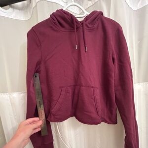HOLLISTER Crop Hoodie